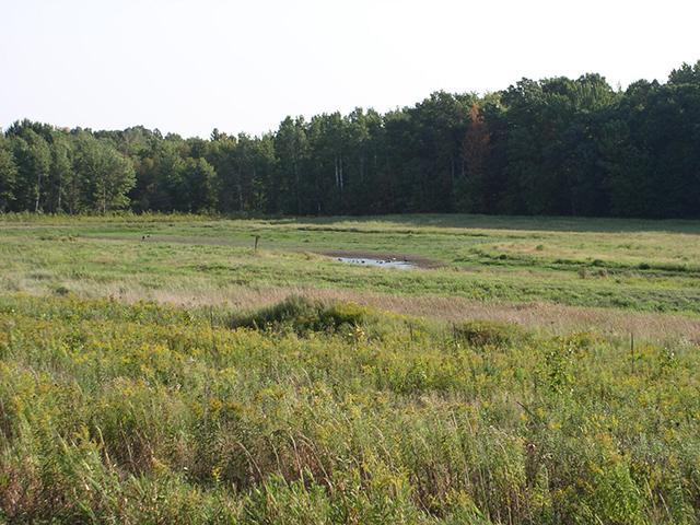 A new report from the Union of Concerned Scientists pushes for greater wetland protections in the farm bill. (photo courtesy of USDA)