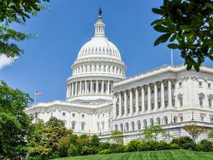 Government
