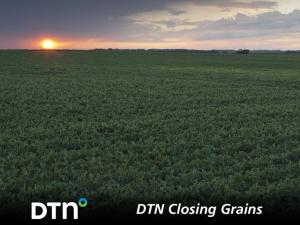 Row-Crop Futures Fall as Seasonal Selloff Continues