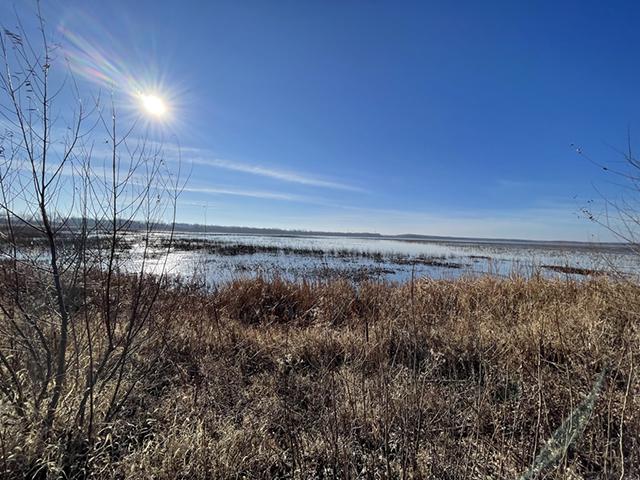 The future of wetlands protection was a key focus of waters of the U.S. listening sessions held last week by the U.S. Environmental Protection Agency and the U.S. Army Corps of Engineers. (Photo by Juanpablo Ramirez-Franco)
