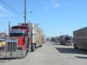 EPA Investigates DEF Failures in Diesel Trucks, Seeks Data From Manufacturers