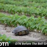 (DTN file photo)