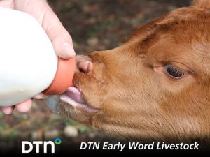 Cattle Futures May See Further Weakness