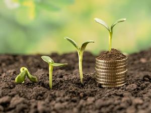 Five Things to Consider Before Adding SCO or ECO Coverage for 2026