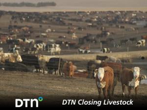 Rumors of New World Screwworm Caused Cattle Contracts to Close Lower