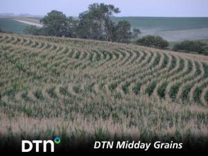 Corn, Soybean, Wheat Futures All Lower at Midday Wednesday