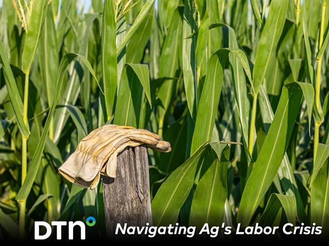 Ag employers of all types and sizes across the U.S. are struggling to find workers to fill empty work boots and gloves. (Getty Images photo)