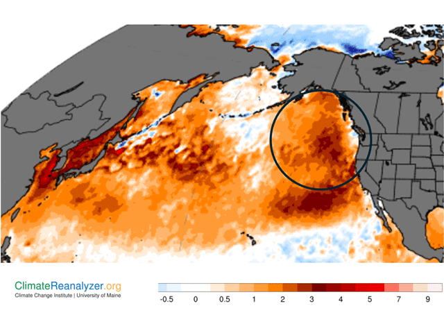 Temperatures of 1-4 degrees Celsius (1.8-7.2 degrees Fahrenheit) above average covered the North Pacific Ocean in mid-September. (Climate Reanalyzer graphic)