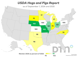 US Sept. 1 Hog Inventory Down 1% From Year Ago