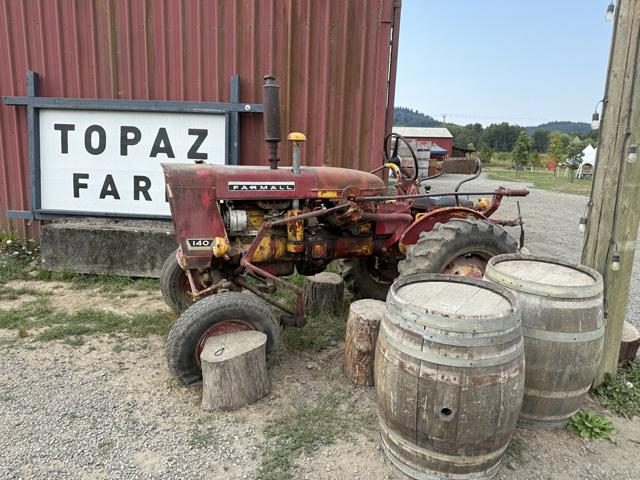 An International Farmall 140 tractor sits on display at a sunflower farm in Oregon. (DTN photo by Urban Lehner)