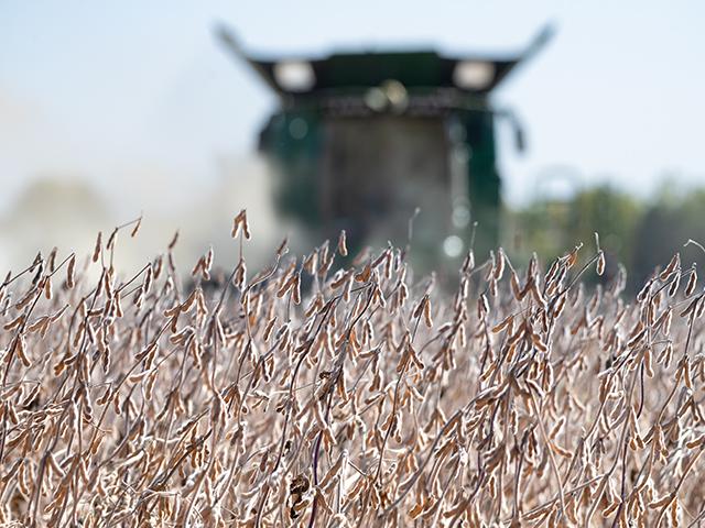 An update to a regulation under consideration in the European Union could limit U.S. soybean exports to the EU for biofuels production. (DTN file photo by Joel Reichenberger)