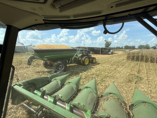 Alabama farmer Brad Ward is owed $250,000 for delivering 48,000 bushels of corn to Hansen-Mueller Co. (Photo courtesy of Brad Ward)