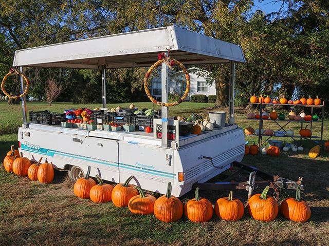 A farm's pumpkin and vegetable stand west of St. Charles, Iowa, welcomes visitors to prepare for Halloween coming up. (DTN photo by Elaine Shein)
