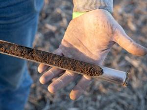 Take Time to Outsmart Nematodes