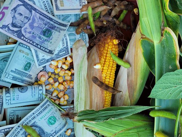 Farmers and other businesses in Texas have yet to be paid for grain deliveries to Hansen-Mueller Co., according to the Texas Department of Agriculture. (DTN file photo)