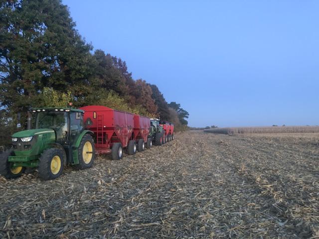 It's been an eventful corn harvest, but it's getting closer to finally getting done. (DTN photo by Philip Shaw)