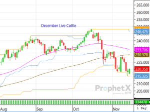 Traders Yearn for More Fundamental Support in Cattle Sector