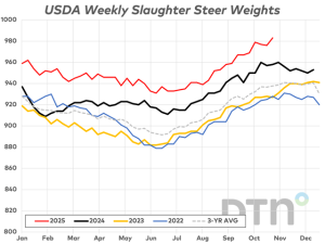 Steer Carcass Weights Hit New All-Time High of 983 Pounds