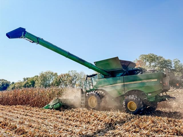 Last Monday, U.S. corn production was raised to 17.02 billion bushels by raising the corn yield by 0.5 bushels per acre, to 186.5 bpa, and increasing harvested acreage. (DTN photo by EllaMae Reiff)