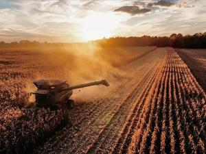 Biofuel Policy’s Hidden Cost: Rising Farmland Prices Reshaped Rural Inequality