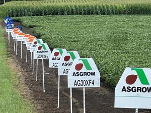 Include Soybean Cyst Nematode Resistance Genes in Soybean Seed Selection