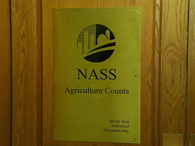 USDA NASS will release the Nov. 1 Cattle on Feed report on Friday, Nov. 21, despite the current partial government shutdown, the agency announced on Friday. (DTN file photo)