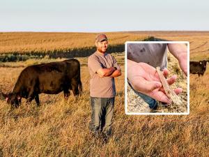 Prawns on the Prairie