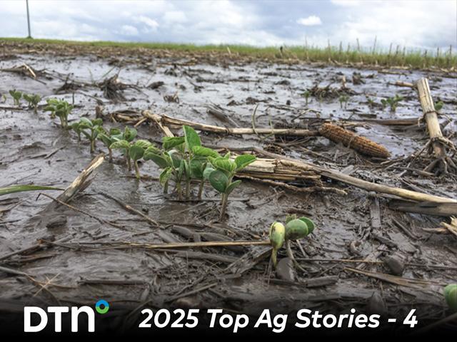 Many areas of the country benefited in early spring from an active weather pattern, though some areas saw flooding as well. (DTN file photo by Pamela Smith)