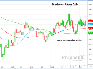 Corn Exports Get a Boost in December WASDE, But Wheat and Soybean Balance Sheets Untouched