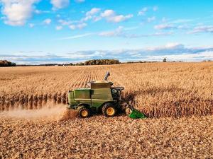Texas Farmers Lose Grain Reclamation Bid in Hansen-Mueller Bankruptcy Case