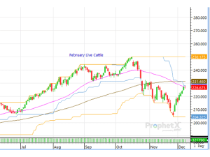 Cattle Complex Sits Anxious Following Last Week’s Price Rally