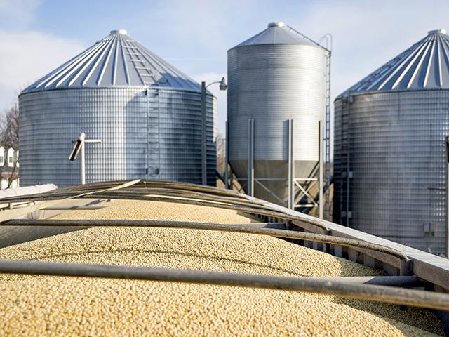 Two Texas farmers have filed claims for grain reclamation from Hansen-Mueller Co. (Photo by Getty Images)