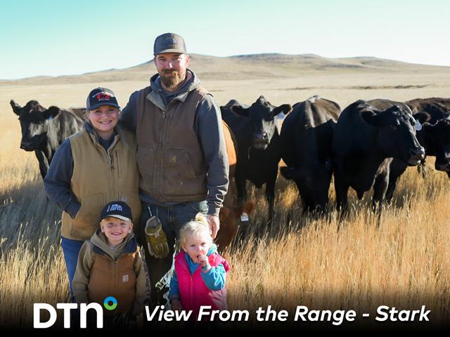 Tristan Stark tags a newborn calf on the family's Montana ranch. (Photo courtesy of Shaylyn Stark)