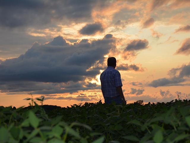 Canadian farmers face an untested road ahead. It's not a transition, more of a rupture. Lots of new risk management ahead. (DTN photo courtesy of Philip Shaw)