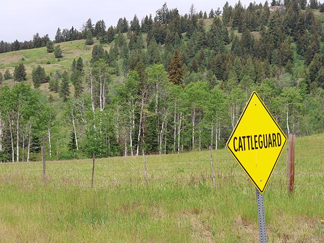 Canada's Monette Farms has filed for protection from creditors to reorganize debt. (DTN file photo by Elaine Shein)