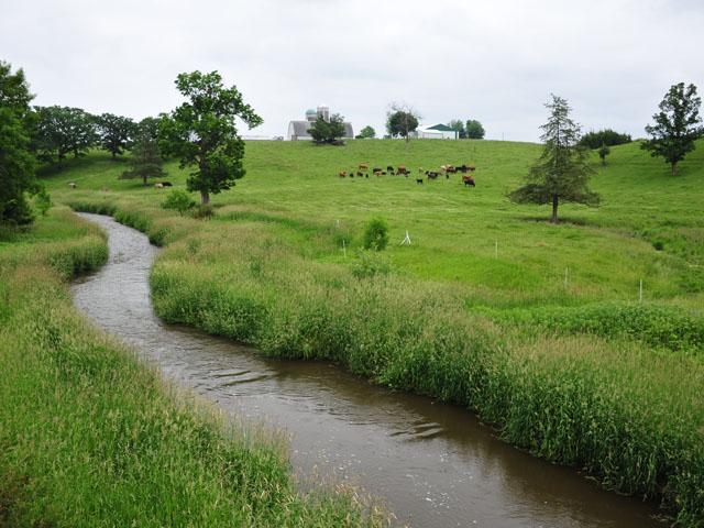 Riparian buffer strips are one practice supported by the Continuous Conservation Reserve Program (CRP). USDA has announced enrollment periods for both Continuous and General CRP with potentially 1.9 million acres to add to the program. (DTN file photo)