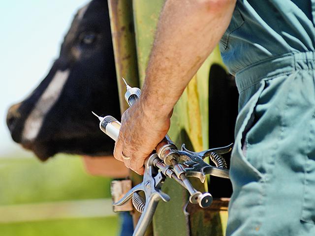 All pain medications, most antibiotics and many other drugs and feed additives require a producer to have a valid Veterinarian-Client-Patient Relationship (VCPR) for the veterinarian to sell the product or issue a prescription or Veterinary Feed Directive. (DTN/Progressive Farmer file photo)