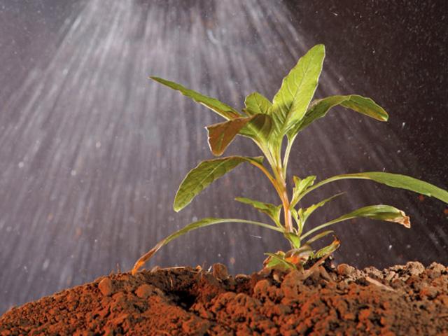 The new twist in the glyphosate controversy is that all three branches of the federal government are weighing in on it. (DTN file photo)