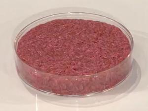 11th Circuit: Florida’s Lab Meat Ban Not Preempted by Federal Poultry Law