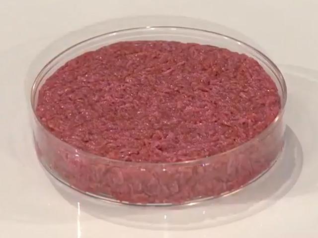 A federal appeals court affirmed a lower court's decision to deny a preliminary injunction against Florida's lab-grown meat ban. (Photo by World Economic Forum; YouTube BY 4.0)