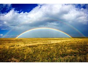 Freeman Family Ranches Lists for $127.7 Million in Texas, Oklahoma Panhandles