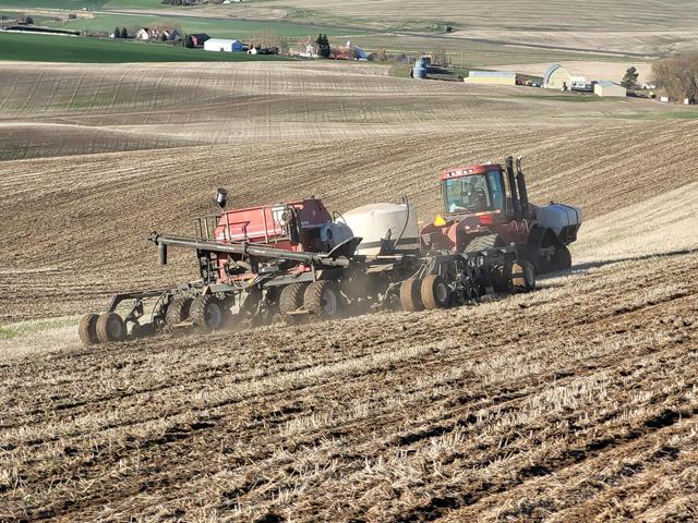 Art Schultheis, of Diamond-S Farms Inc., Colton, Washington, took a picture of his son, Kyle, direct-seeding soft white wheat into last year's winter wheat stubble near Colton. (Photo courtesy of Art Schultheis)
