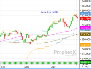 The Pedal Hit the Metal in Last Week’s Fed Cash Cattle Market