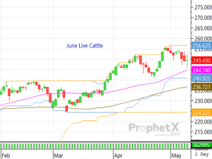 Headline Day-Trading Robs Cattle Complex Once Again