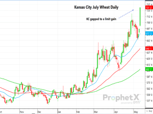 Bullish Wheat Estimates in May WASDE Send Wheat Futures to Limit Gains