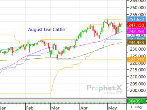 Cattlemen: Here Are a Couple of Notes for the Week Ahead