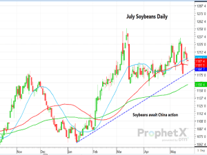 July Soybeans Biding Time, Awaiting a China Response