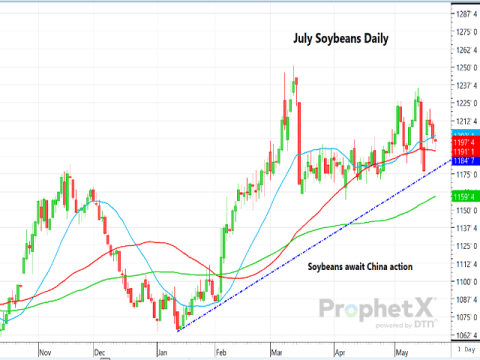 July Soybeans Biding Time, Awaiting a China Response