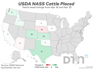 May 1 Cattle on Feed Up 2% From Year Ago; Placements Up 6%