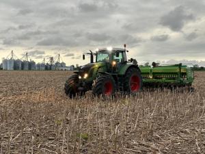Soybeans, Wild Carrot and the Mirage of $30 Beans